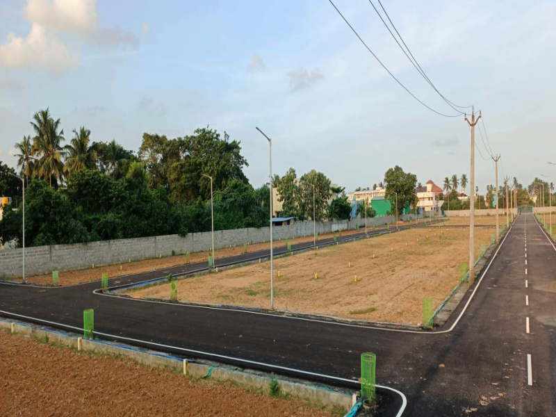 Chaitanya Avenue