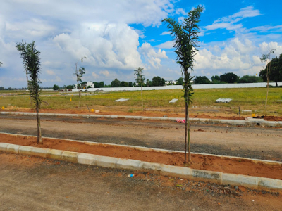 600 - 10000 Sqft Land for sale in Kanchipuram