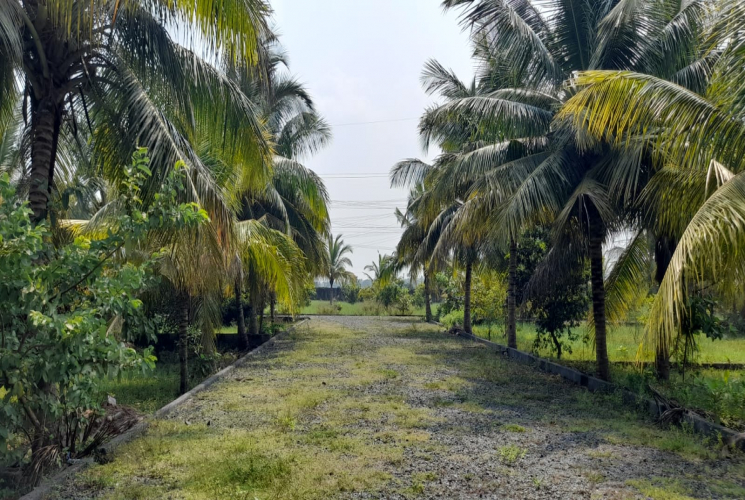 2266 Sq.Ft, Agricultural farm land for sale in Guduvanchery