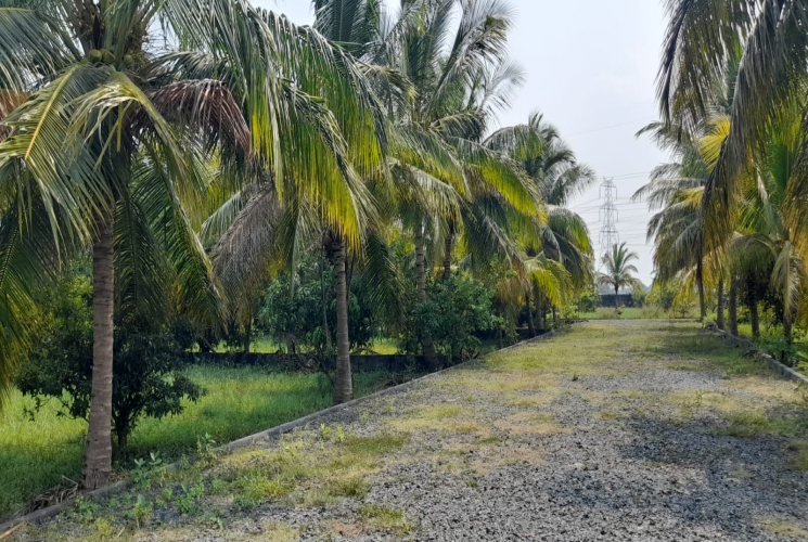 2266 Sq.Ft, Agricultural farm land for sale in Guduvanchery