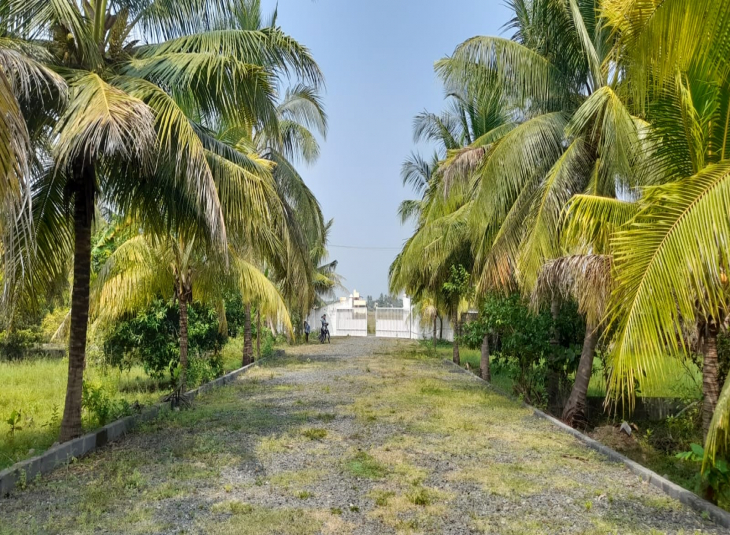 3150 Sq.Ft, Agricultural farm land for sale in Guduvanchery