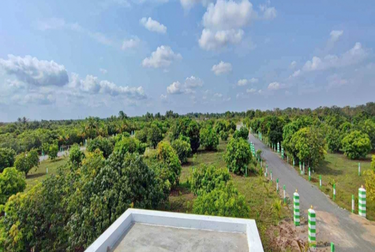 10000 Sq.Ft, Agricultural farm land for sale in Chengalpet