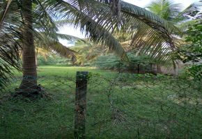 25 Cents Land for sale in Mahabalipuram