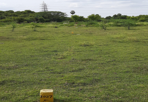 6000 Sq.Ft Land for sale in Chettipunniyam