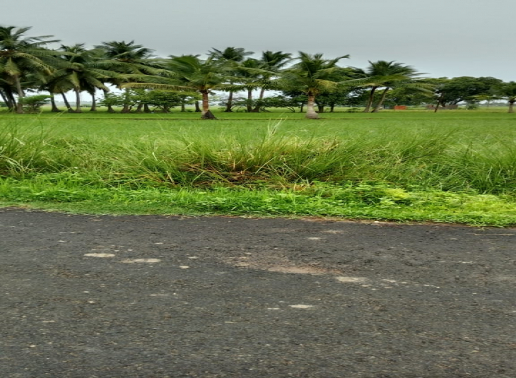 54 Cents, Agricultural farm land for sale in Thiruninravur