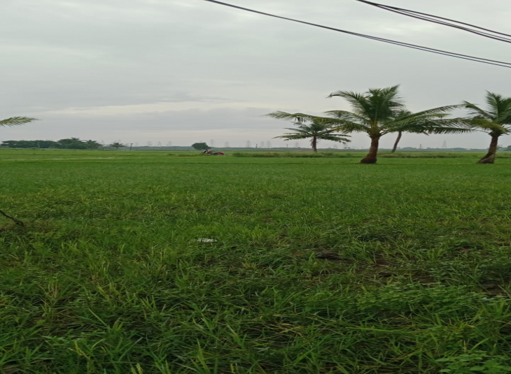 54 Cents, Agricultural farm land for sale in Thiruninravur