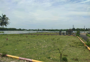 750 Sq.Ft Land for sale in Potheri