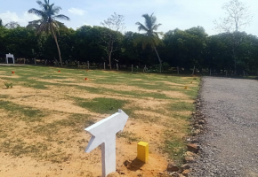 800 Sq.Ft Land for sale in Thirumazhisai