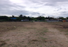 600 Sq.Ft Land for sale in Guduvanchery